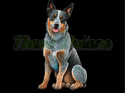 PANEL DRUKOWANY AUSTRALIAN CATTLE DOG BLACK