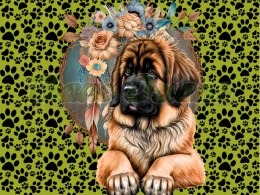 PANEL DRUKOWANY LEONBERGER BOHO