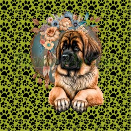 PANEL DRUKOWANY LEONBERGER BOHO