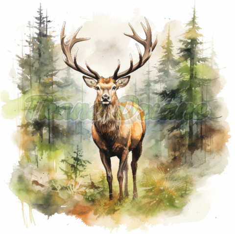 PANEL DRUKOWANY JELEŃ W LESIE - HUNTING TŁO BIAŁE NR 11 PANEL DRUKOWANY JELEŃ W LESIE - HUNTING TŁO BIAŁE NR 11