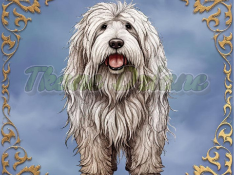 PANEL DRUKOWANY KOMONDOR W ZŁOTEJ RAMCE TŁO BLUE NR 5