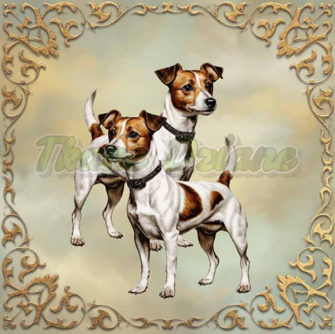 PANEL DRUKOWANY DWA JACK RUSSEL W ZŁOTEJ RAMCE TŁO ZŁ NR 5 PANEL DRUKOWANY DWA JACK RUSSEL W ZŁOTEJ RAMCE TŁO ZŁ NR 5
