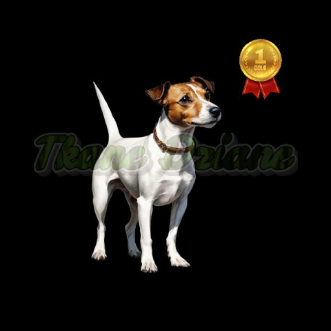 PANEL DRUKOWANY JACK RUSSEL NR 8 PANEL DRUKOWANY JACK RUSSEL NR 8