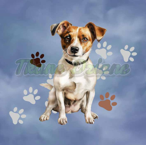 PANEL DRUKOWANY JACK RUSSEL TŁO BLUE NR 3 PANEL DRUKOWANY JACK RUSSEL TŁO BLUE NR 3