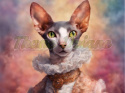 PANEL DRUKOWANY KOT CORNISH REX ARYSTOKRATA NR 6