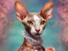 PANEL DRUKOWANY KOT CORNISH REX ARYSTOKRATA NR 7