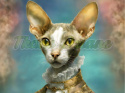 PANEL DRUKOWANY KOT CORNISH REX ARYSTOKRATA NR 8