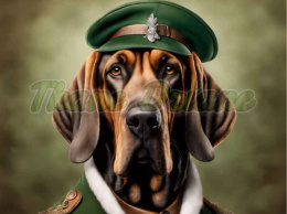 PANEL DRUKOWANY BLOODHOUND NR 16