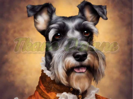 PANEL DRUKOWANY SCHNAUZER NR 43