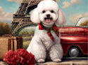 PANEL DRUKOWANY BICHON FRIESE NR 12 PANEL DRUKOWANY BICHON FRIESE NR 12