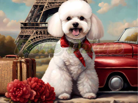 PANEL DRUKOWANY BICHON FRIESE NR 12 PANEL DRUKOWANY BICHON FRIESE NR 12