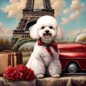 PANEL DRUKOWANY BICHON FRIESE NR 12 PANEL DRUKOWANY BICHON FRIESE NR 12