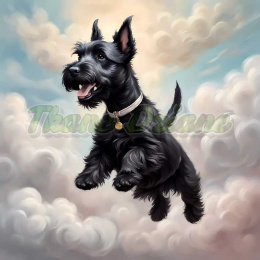 PANEL DRUKOWANY TERRIER SZKOCKI W CHMURACH NR 1