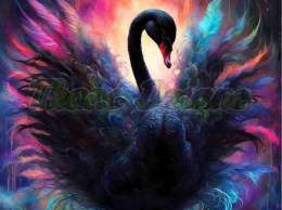 PANEL DRUKOWANY BLACK ANIMAL NR 2