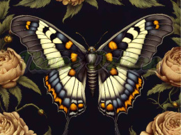 PANEL DRUKOWANY MOTYL W KWIATACH NR 18
