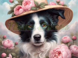 PANEL DRUKOWANY PSY W PODRÓŻY-BORDER COLLIE NR 16