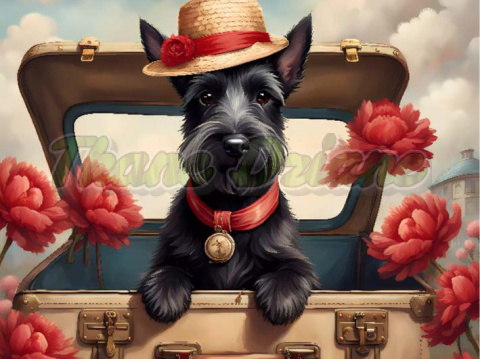 PANEL DRUKOWANY PSY W PODRÓŻY- TERRIER SZKOCKI NR 5 PANEL DRUKOWANY PSY W PODRÓŻY- TERRIER SZKOCKI NR 5