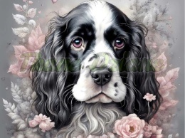 PANEL DRUKOWANY SPANIEL ANGIELSKI Z BALONAMI NR 16
