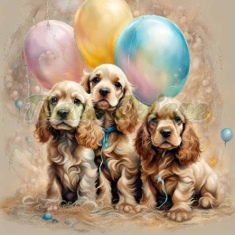 PANEL DRUKOWANY COCKER SPANIEL Z BALONAMI NR 4