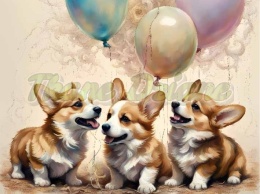 PANEL DRUKOWANY CORGI Z BALONAMI NR 5
