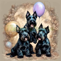PANEL DRUKOWANY TERRIER SZKOCKI Z BALONAMI NR 13