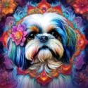 PANEL DRUKOWANY NEONOWY SHIH TZU NR 19