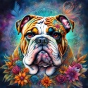 PANEL DRUKOWANY NEONOWY BULLDOG ANGIELSKI NR 18