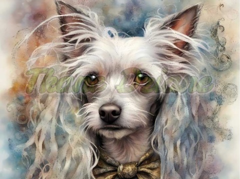 PANEL DRUKOWANY AKWARELOWE PSY -GRZYWACZ CHIŃSKI NR 64