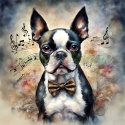 PANEL DRUKOWANY AKWARELOWE PSY -BOSTON TERRIER NR 61