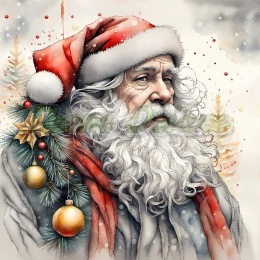 PANEL DRUKOWANY MIKOŁAJ NR 4