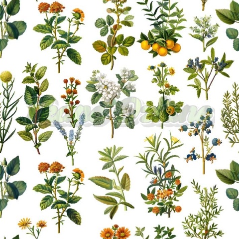 TKANINA DRUKOWANA ROŚLINY POLNE NR 3