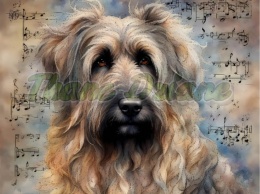 PANEL DRUKOWANY AKWARELOWE PSY -BRIARD NR 76