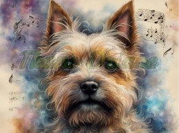 PANEL DRUKOWANY AKWARELOWE PSY -CAIRN TERRIER NR 72