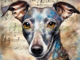 PANEL DRUKOWANY AKWARELOWE PSY -CHARCIK WŁOSKI NR 78