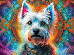 PANEL DRUKOWANY NEONOWY WESTIE NR 40