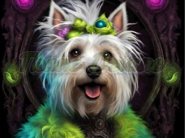 PANEL DRUKOWANY PIES Z KOLOROWYMI WŁOSAMI - WEST HIGHLAND TERRIER NR 9