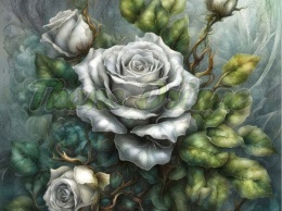 PANEL DRUKOWANY RÓŻA SZARA NR 10