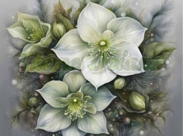 PANEL DRUKOWANY ŚWIĄTECZNE KWIATY NR 10