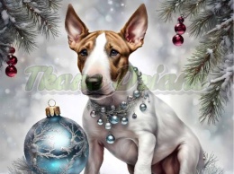 PANEL DRUKOWANY ŚWIĄTECZNE ZWIERZAKI Z BOMBKAMI NR 2