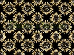 TKANINA DRUKOWANA SŁONECZNIKI NR 2