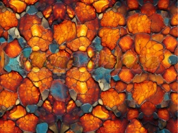 TKANINA DRUKOWANA BURSZTYN NR 10