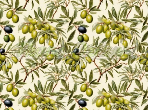 TKANINA DRUKOWANA OLIWKI NR 8