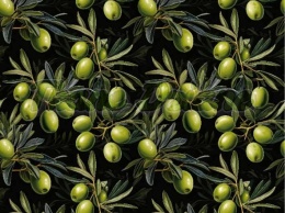 TKANINA DRUKOWANA OLIWKI NR 10