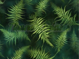 TKANINA DRUKOWANA PAPROĆ NR 17