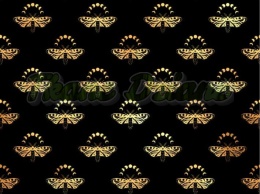 TKANINA DRUKOWANA ZŁOTE ĆMY NR 3