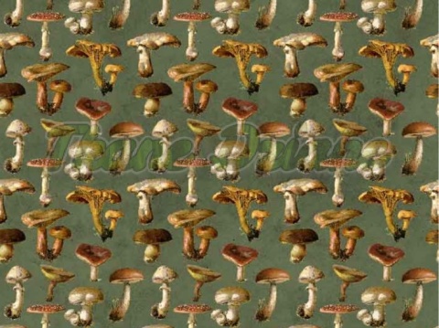 TKANINA DRUKOWANA GRZYBY NR 4