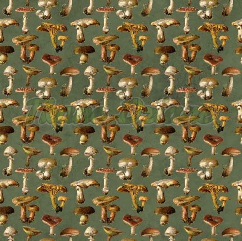 TKANINA DRUKOWANA GRZYBY NR 4