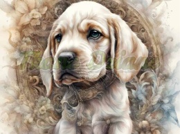 PANEL DRUKOWANY AKWARELOWE PSY -PORCELAINE NR 94