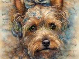 PANEL DRUKOWANY AKWARELOWE PSY -YORK NR 91