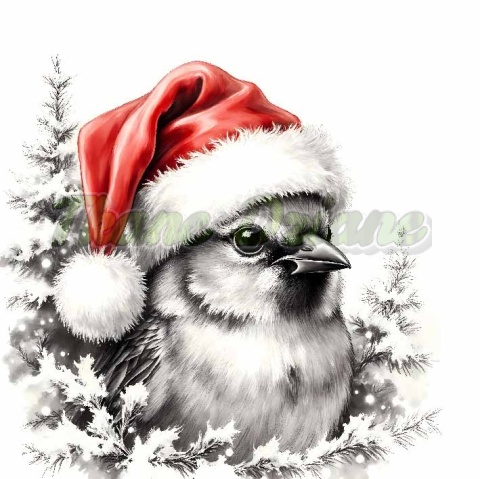 PANEL DRUKOWANY BIAŁO-CZARNE ZWIERZĘTA- PTASZEK NR 12